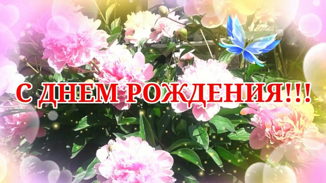 Поздравляем с Днём рождения нашего директора, Кириченко Михаила Алексеевича!